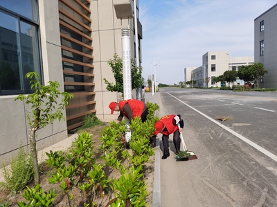 志愿服務進園區 文明創建我先行